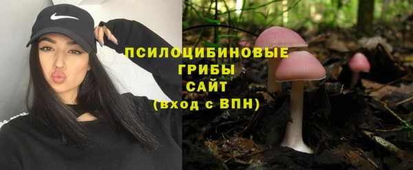 ешки Алзамай