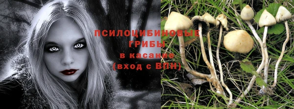 ешки Алзамай