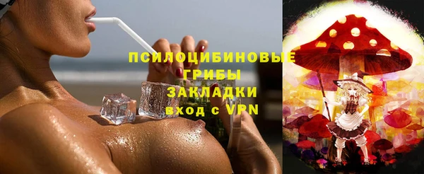 ешки Алзамай