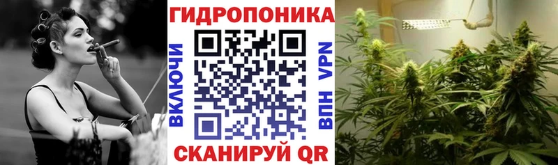Бошки Шишки марихуана Пучеж